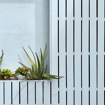 Casa Dos Loios By Shiadu Guest house